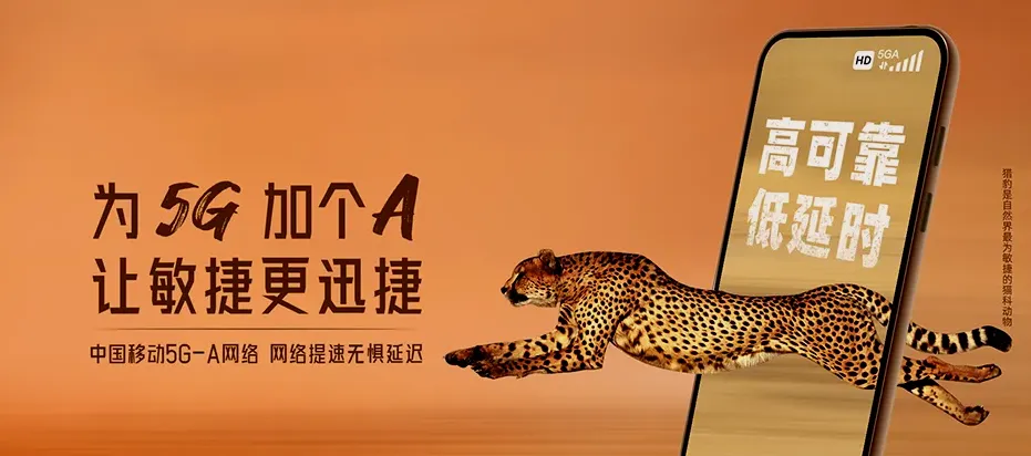 饶河县饶河县西林子乡 移动宽带